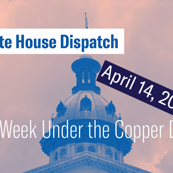 "State House Dispatch: April 14, 2025. This Week Under the Copper Dome." Text appears over a pink-tinted image of the South Carolina State House dome.