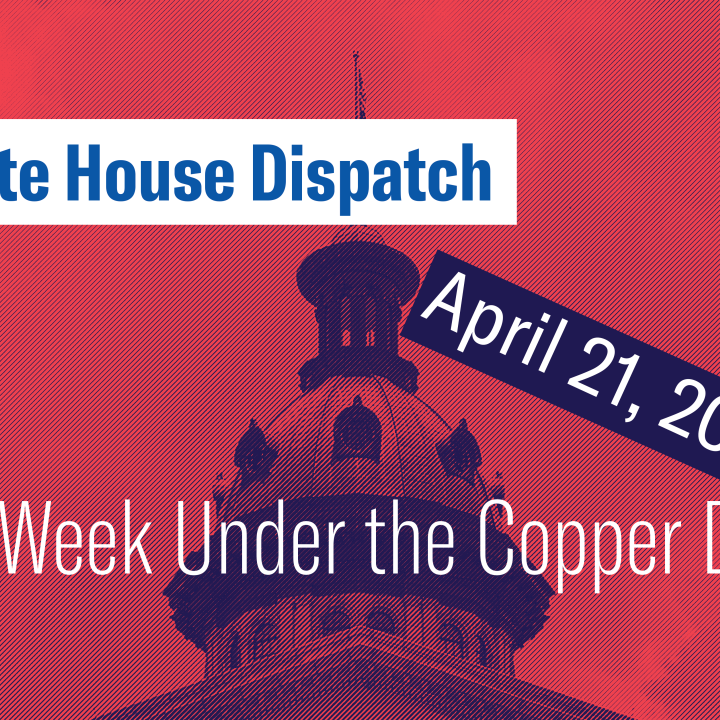 "State House Dispatch: April 21, 2025. This Week Under the Copper Dome." Text appears over a red-tinted image of the South Carolina State House dome.
