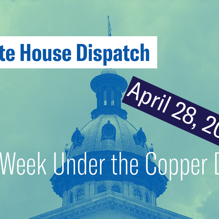 "State House Dispatch: April 28, 2025. This Week Under the Copper Dome." Text appears over a green-tinted image of the South Carolina State House dome.