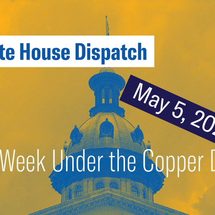 "State House Dispatch: May 5, 2025. This Week Under the Copper Dome." Text appears over a yellow and blue-tinted image of the South Carolina State House dome.