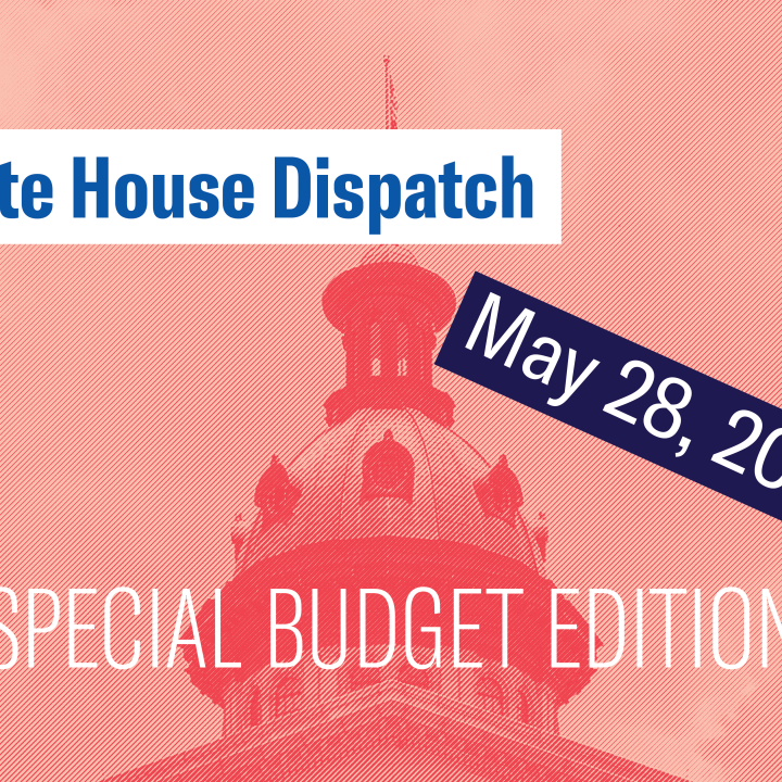 "State House Dispatch: May 28, 2025. Special Budget Edition." Text appears over a salmon-tinted image of the South Carolina State House dome.