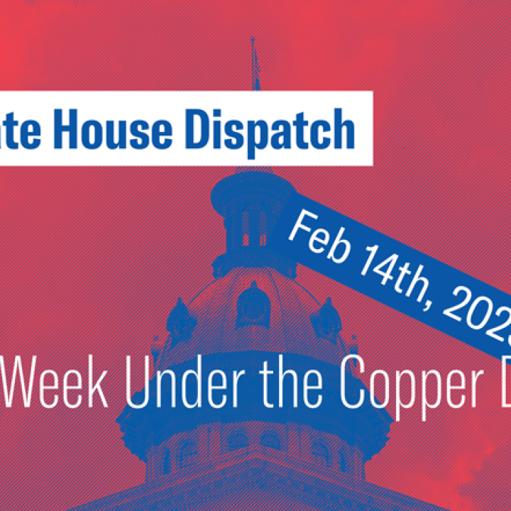 state house dispatch the week of Feb 14