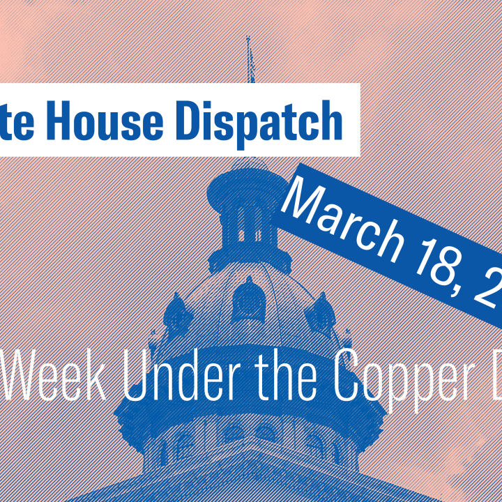 "State House Dispatch: March 18, 2024. This Week Under the Copper Dome." Text appears over a pink and blue-tinted image of the South Carolina State House dome.
