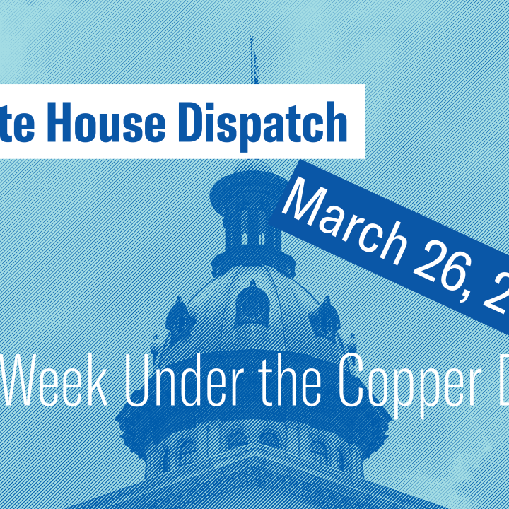"State House Dispatch: March 26, 2024. This Week Under the Copper Dome." Text appears over a blue tinted image of the South Carolina State House dome.