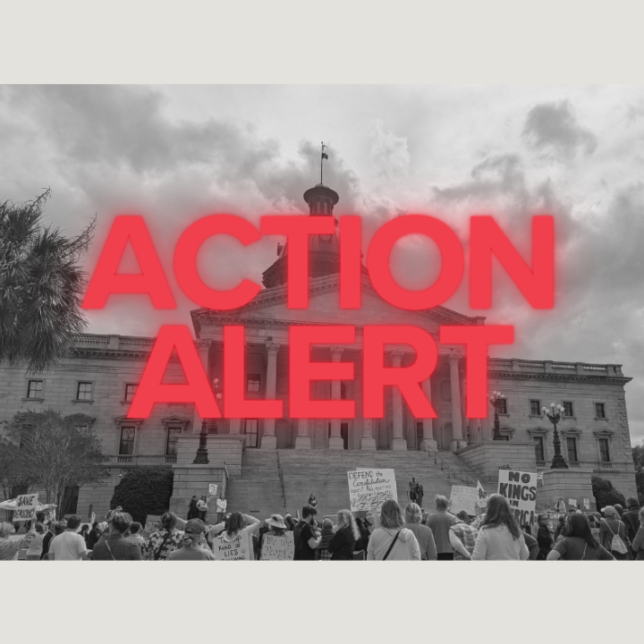 "Action Alert" in red text over a grayscale photo of the State House with protesters in front