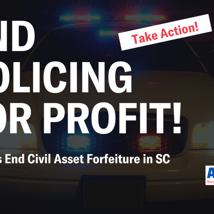Policing for profit