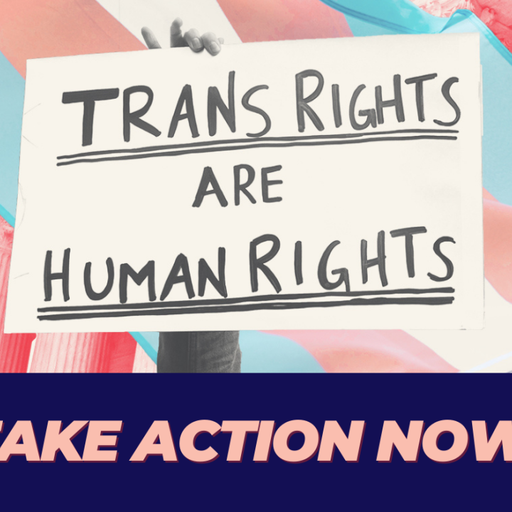 trans rights