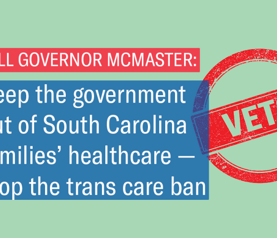 "Tell Governor McMaster: Keep the government out of South Carolina families' healthcare — stop the trans care ban." A red "veto" stamp overlaps with the text.